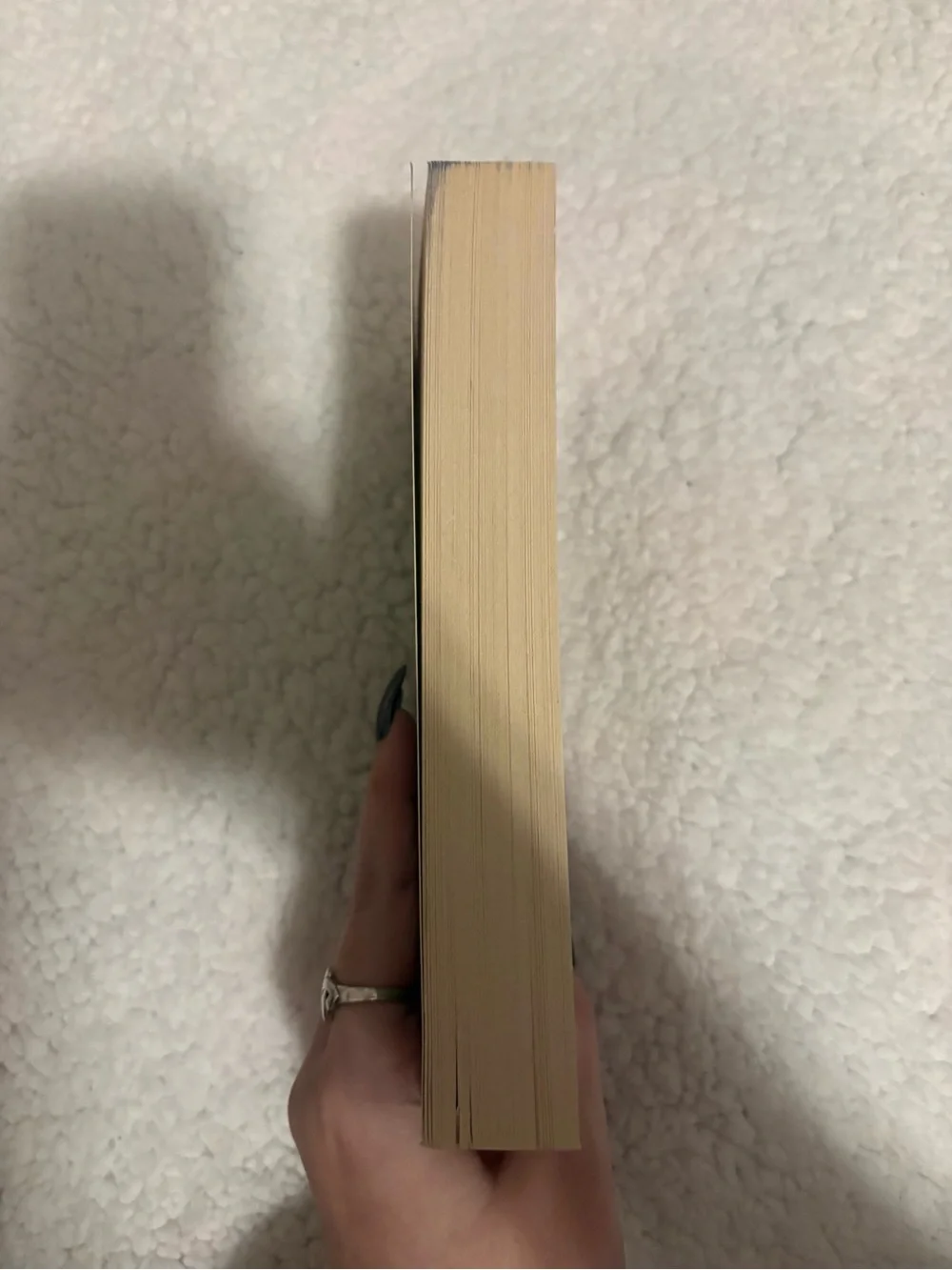 The Lost Summer of Louisa May Alcott by Kelly O'Connor McNees